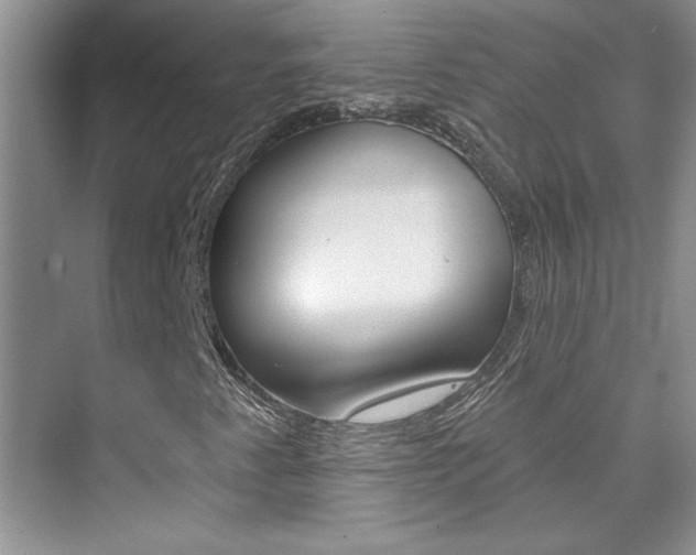 X0000076341345200609290908