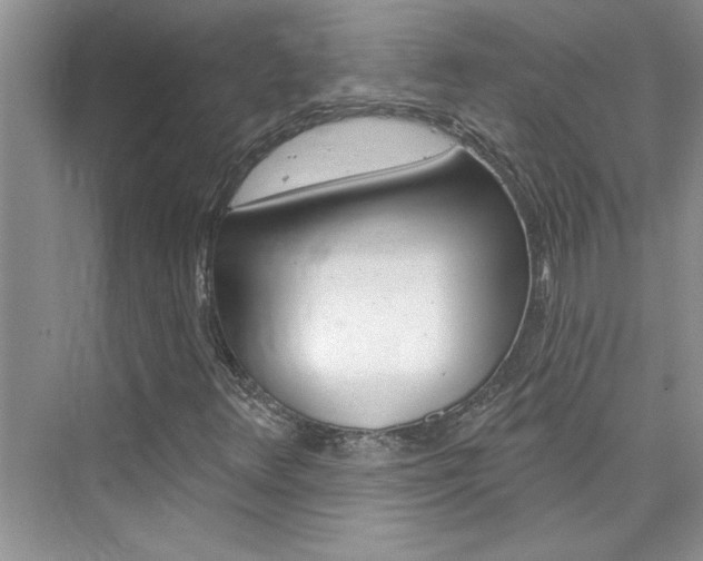 X0000076341348200609290908