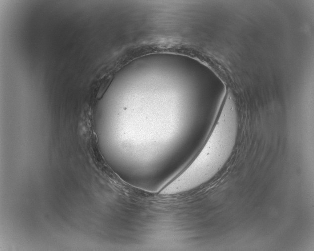 X0000076341349200609290908