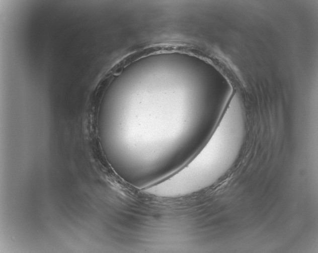 X0000076341352200609290908
