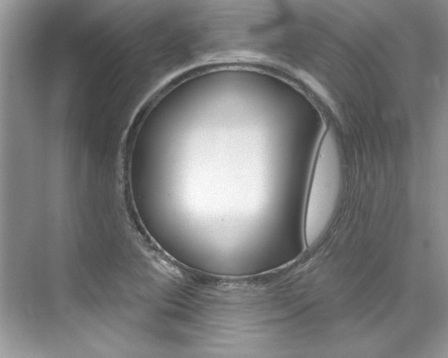 X0000076341364200609290908