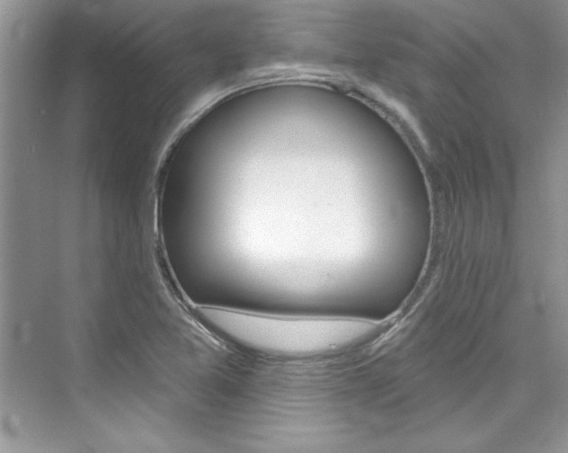 X0000076341365200609290908