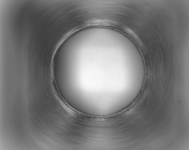 X0000076341370200609290908
