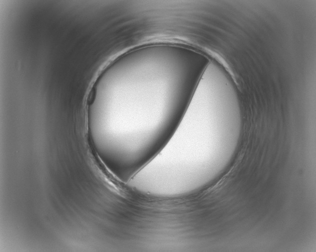 X0000076341371200609290908