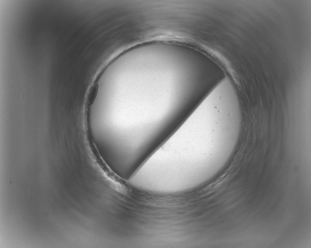 X0000076341375200609290908