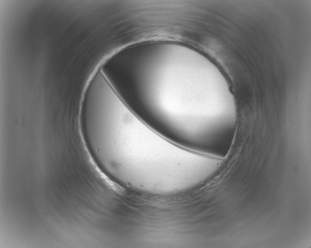 X0000076341379200609290907