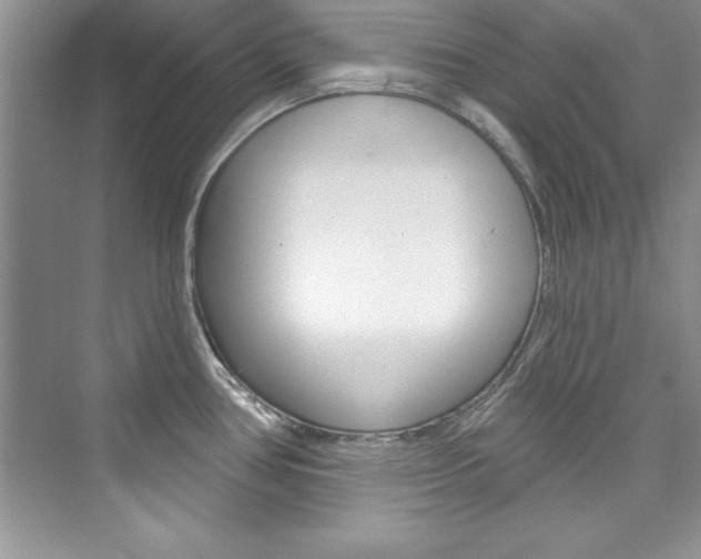 X0000076341386200609290907