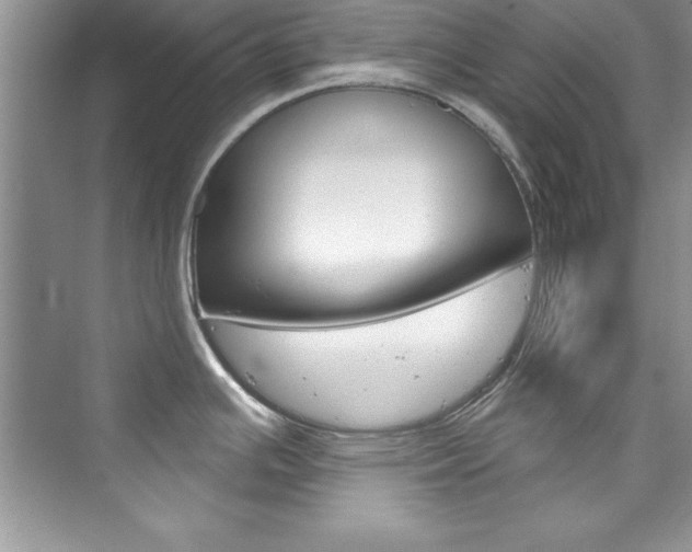 X0000076341391200609290907