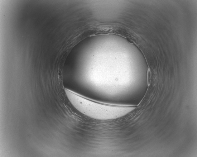 X0000076341394200609290906