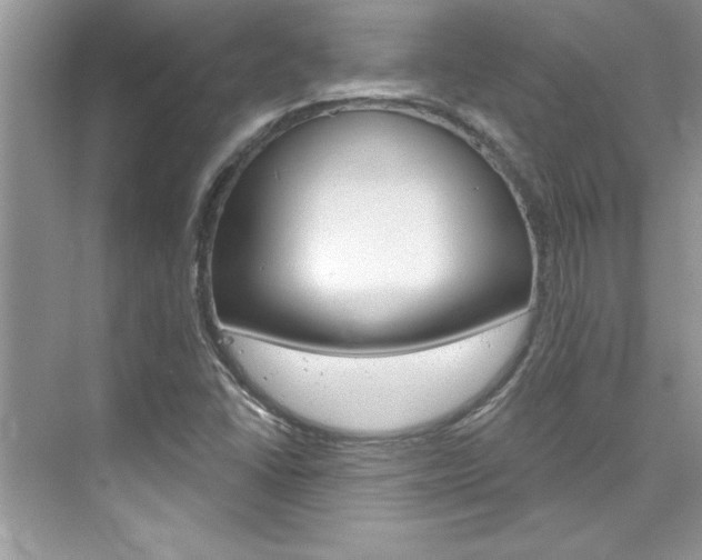 X0000076341406200609290907