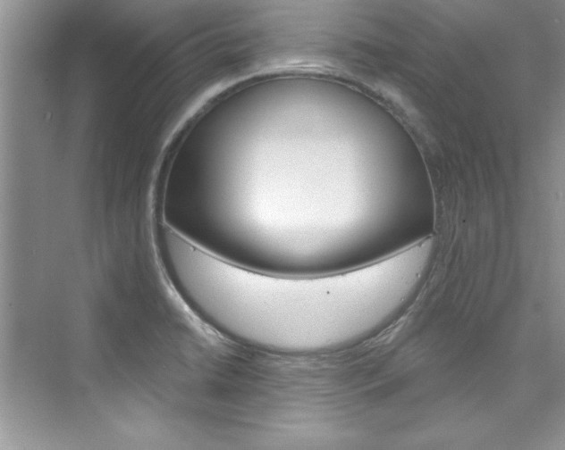 X0000076341422200609290907