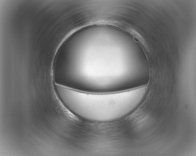 X0000076341428200609290907