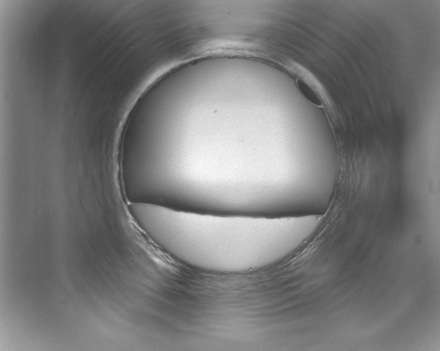 X0000076341435200609290907