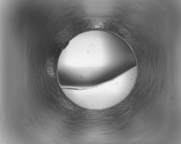 X0000076341442200609290906