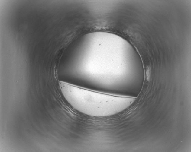 X0000076341444200609290906