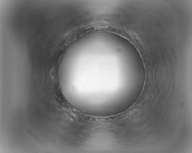 X0000076341445200609290906