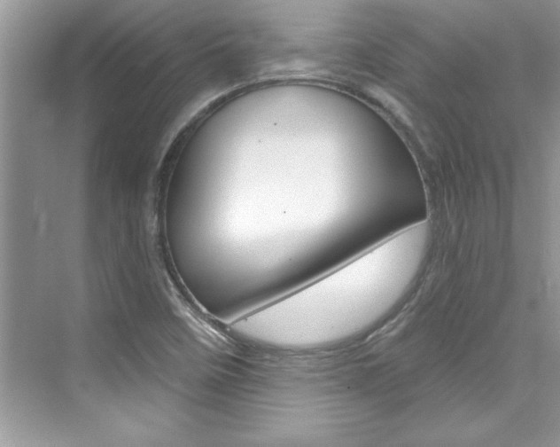 X0000076341458200609290906