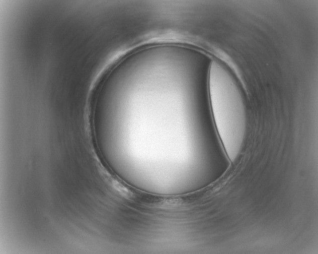 X0000076341464200609290906