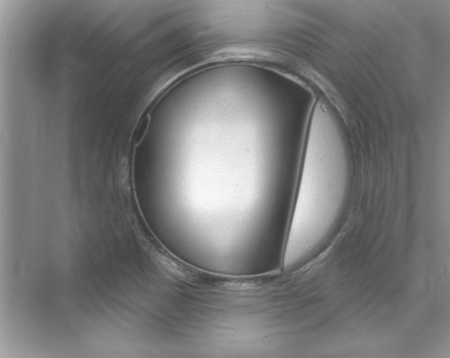 X0000076341465200609290906