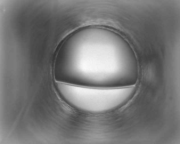X0000076341505200609290905
