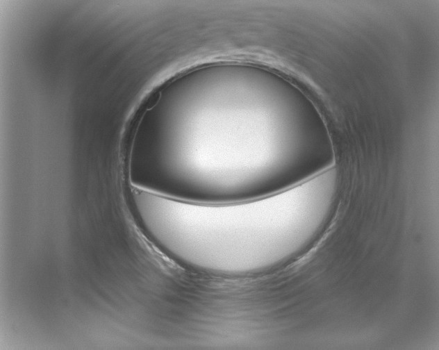 X0000076341506200609290905