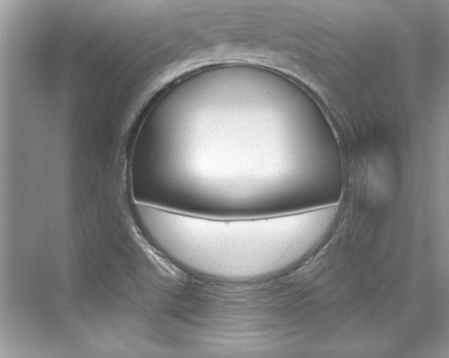 X0000076341507200609290905