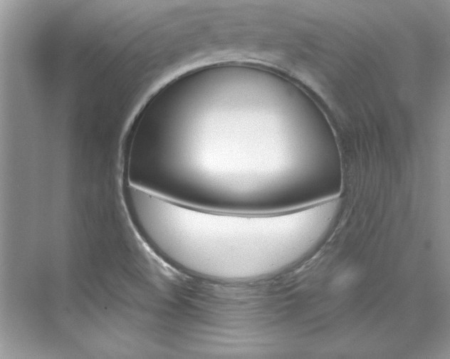 X0000076341508200609290905