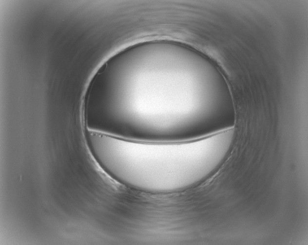 X0000076341516200609290905