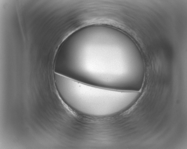 X0000076341521200609290905
