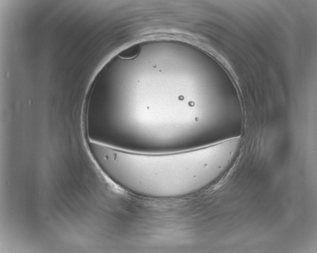 X0000076341533200609290906