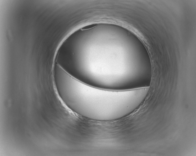 X0000076341536200609290906