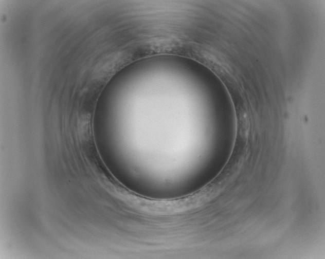 X0000076340034200609291143