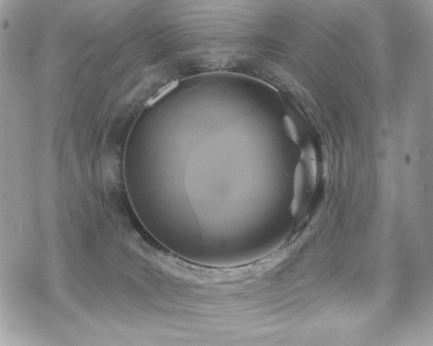 X0000076340035200609291143