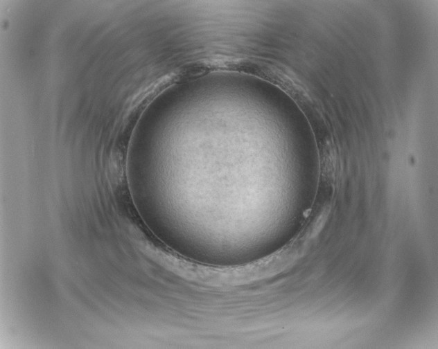 X0000076340043200609291143