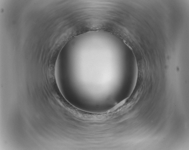 X0000076340044200609291143