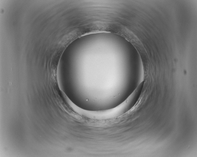 X0000076340045200609291143
