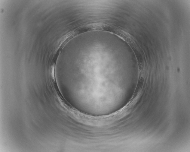 X0000076340047200609291143