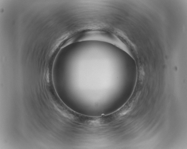 X0000076340068200609291142