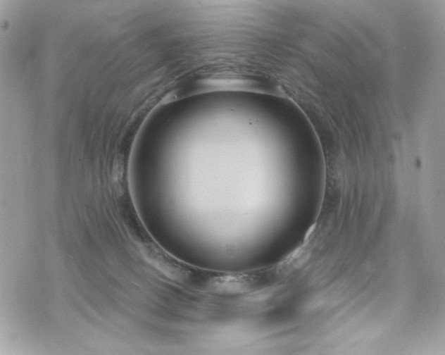 X0000076340082200609291142
