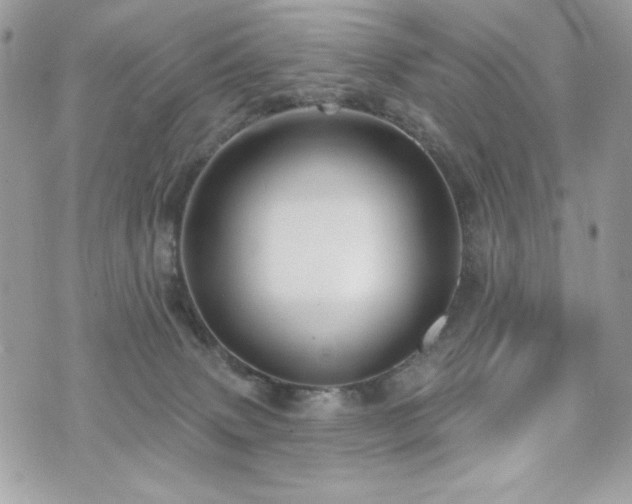 X0000076340083200609291143