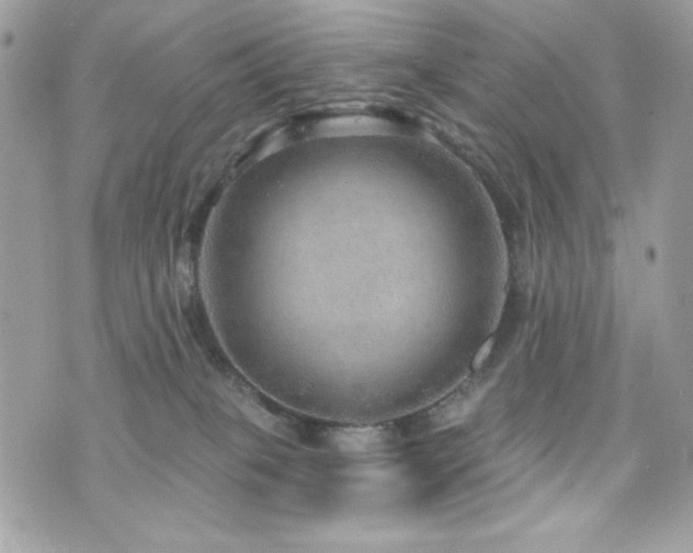 X0000076340085200609291143