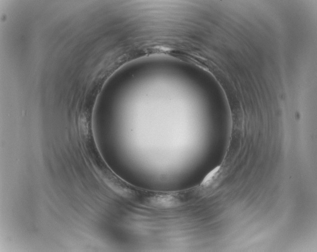 X0000076340086200609291143