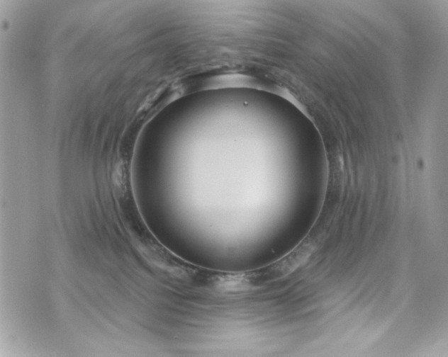 X0000076340088200609291143
