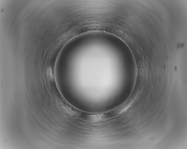X0000076340089200609291143