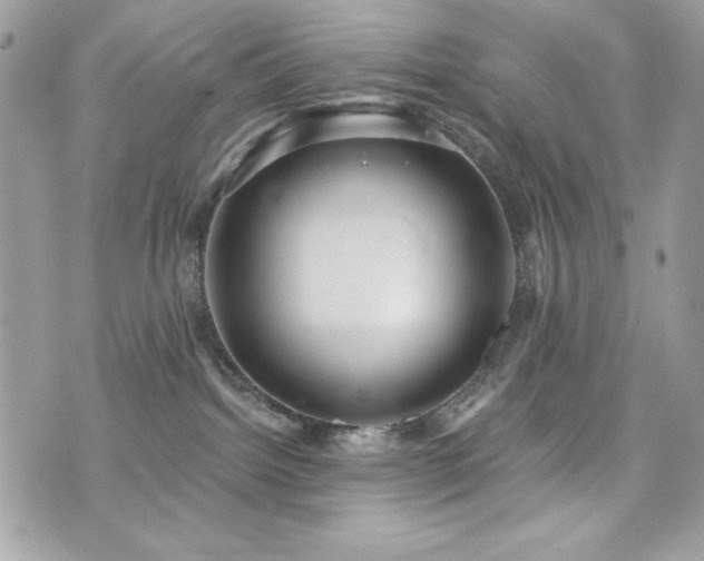 X0000076340092200609291143