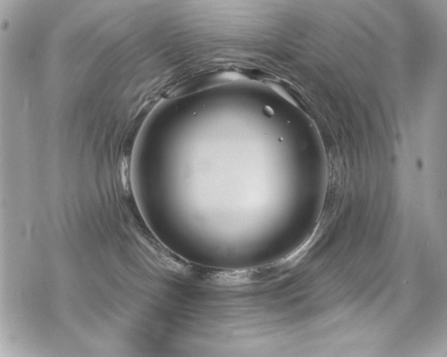 X0000076340094200609291143