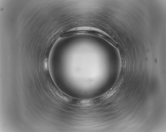 X0000076340095200609291143