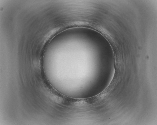 X0000076340112200609291142