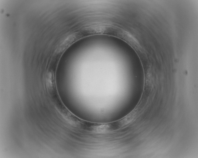 X0000076340122200609291142