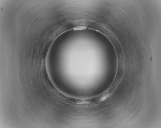 X0000076340125200609291141